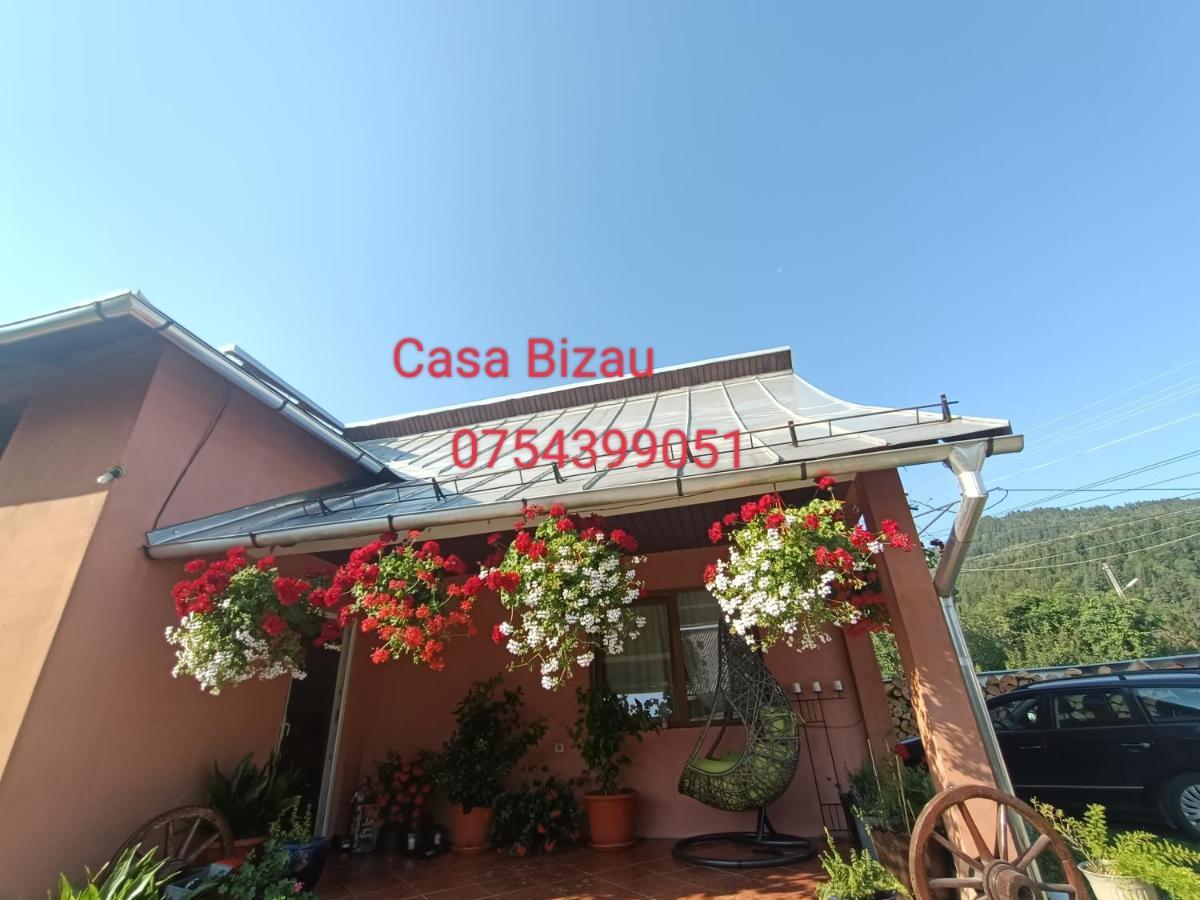 Casa Bizau Hotel Viseu de Mijloc Buitenkant foto